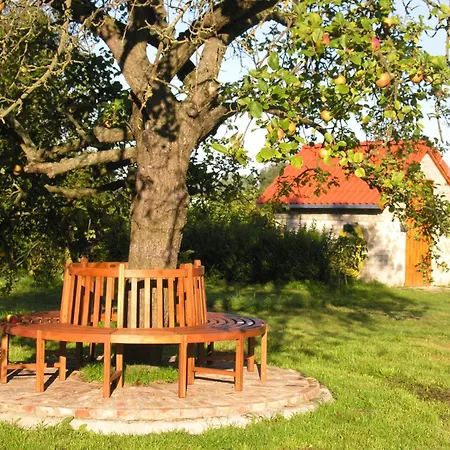 Apartman Haus Achterwiek - Wolgast